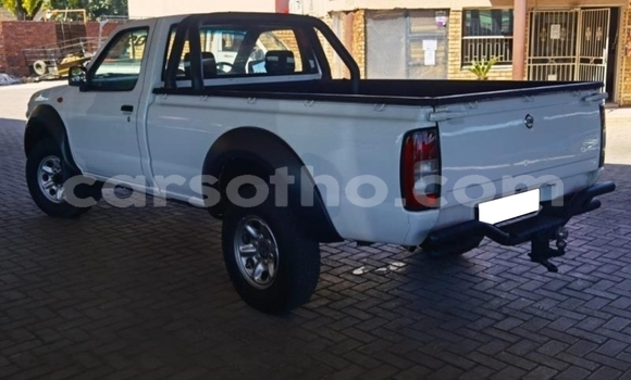 Sayi Na hannu Nissan Hardbody White Mota in Maputsoe a Leribe Sayi Na hannu Nissan Hardbody White Mota in Maputsoe a Leribe