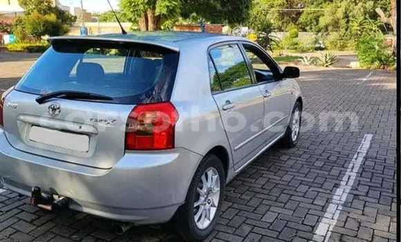 اشتري مستعمل Toyota Runx Silver سيارة في Maseru في Maseru اشتري مستعمل Toyota Runx Silver سيارة في Maseru في Maseru