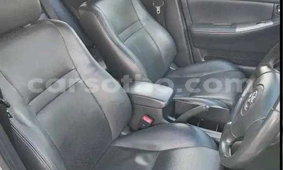 اشتري مستعمل Toyota Runx Silver سيارة في Maseru في Maseru اشتري مستعمل Toyota Runx Silver سيارة في Maseru في Maseru