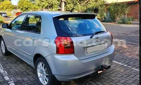 اشتري مستعمل Toyota Runx Silver سيارة في Maseru في Maseru اشتري مستعمل Toyota Runx Silver سيارة في Maseru في Maseru