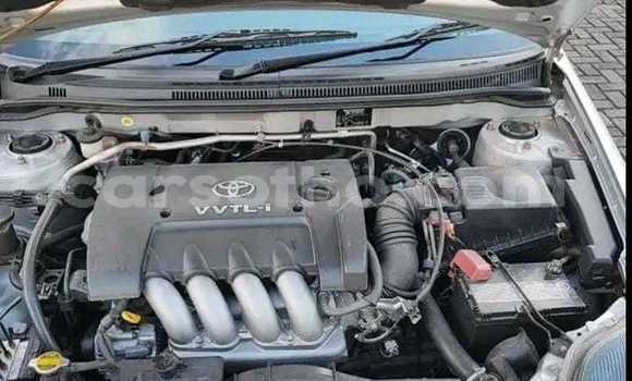 اشتري مستعمل Toyota Runx Silver سيارة في Maseru في Maseru اشتري مستعمل Toyota Runx Silver سيارة في Maseru في Maseru