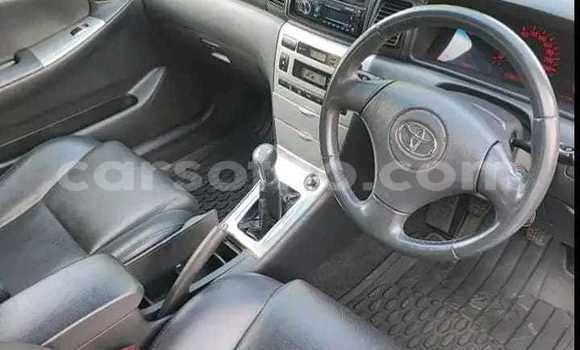 اشتري مستعمل Toyota Runx Silver سيارة في Maseru في Maseru اشتري مستعمل Toyota Runx Silver سيارة في Maseru في Maseru