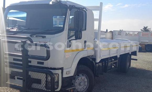 اشتري مستعمل Isuzu FTR 850 White شاحنة في Maseru في Maseru اشتري مستعمل Isuzu FTR 850 White شاحنة في Maseru في Maseru