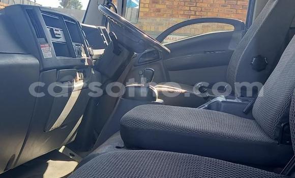 اشتري مستعمل Isuzu FTR 850 White شاحنة في Maseru في Maseru اشتري مستعمل Isuzu FTR 850 White شاحنة في Maseru في Maseru