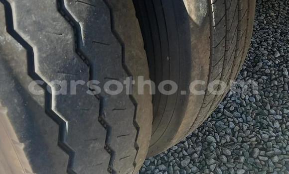 اشتري مستعمل Isuzu FTR 850 White شاحنة في Maseru في Maseru اشتري مستعمل Isuzu FTR 850 White شاحنة في Maseru في Maseru