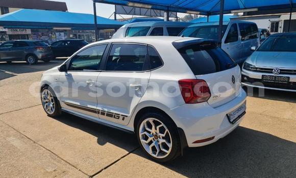 اشتري مستعمل Volkswagen Polo White سيارة في Maseru في Maseru اشتري مستعمل Volkswagen Polo White سيارة في Maseru في Maseru