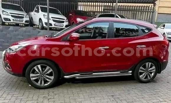 اشتري مستعمل Hyundai ix35 Red سيارة في Maseru في Maseru اشتري مستعمل Hyundai ix35 Red سيارة في Maseru في Maseru