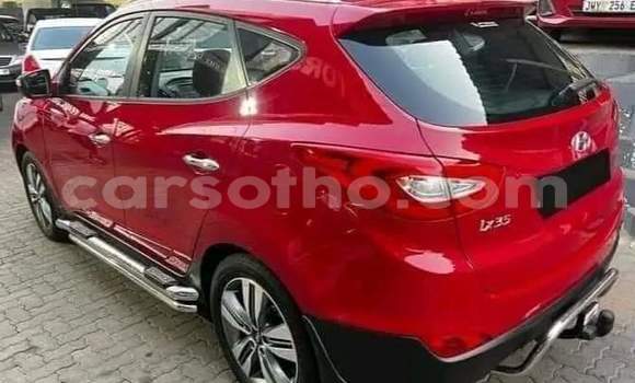 اشتري مستعمل Hyundai ix35 Red سيارة في Maseru في Maseru اشتري مستعمل Hyundai ix35 Red سيارة في Maseru في Maseru