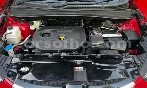 اشتري مستعمل Hyundai ix35 Red سيارة في Maseru في Maseru اشتري مستعمل Hyundai ix35 Red سيارة في Maseru في Maseru