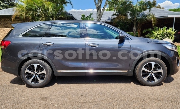 اشتري مستعمل Kia Sorento Other سيارة في Maseru في Maseru اشتري مستعمل Kia Sorento Other سيارة في Maseru في Maseru