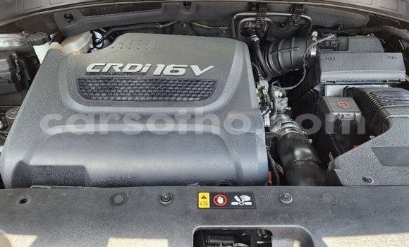 اشتري مستعمل Kia Sorento Other سيارة في Maseru في Maseru اشتري مستعمل Kia Sorento Other سيارة في Maseru في Maseru
