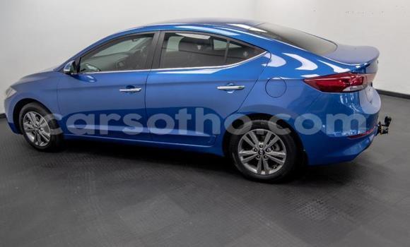 اشتري مستعمل Hyundai Elantra Blue سيارة في Maseru في Maseru اشتري مستعمل Hyundai Elantra Blue سيارة في Maseru في Maseru