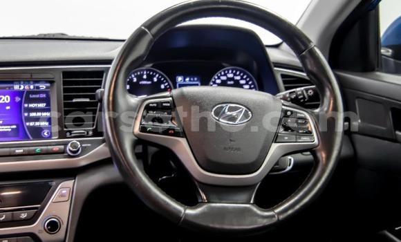 اشتري مستعمل Hyundai Elantra Blue سيارة في Maseru في Maseru اشتري مستعمل Hyundai Elantra Blue سيارة في Maseru في Maseru