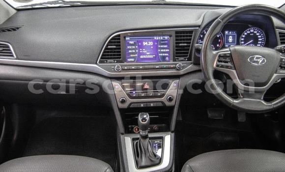 اشتري مستعمل Hyundai Elantra Blue سيارة في Maseru في Maseru اشتري مستعمل Hyundai Elantra Blue سيارة في Maseru في Maseru