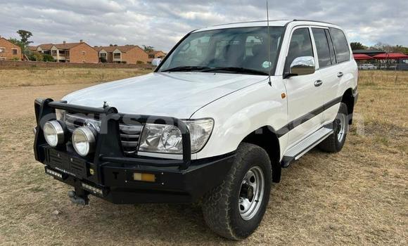 Acheter Occasion Voiture Toyota Land Cruiser Blanc à Maseru, Maseru