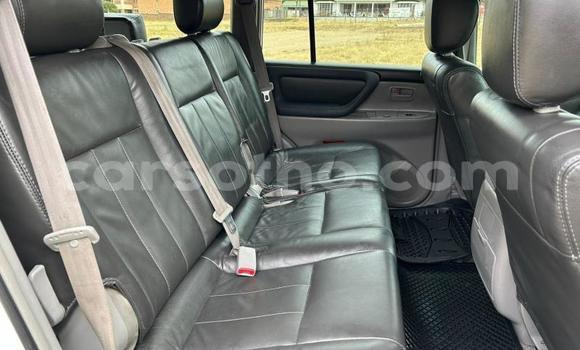 اشتري مستعمل Toyota Land Cruiser White سيارة في Maseru في Maseru اشتري مستعمل Toyota Land Cruiser White سيارة في Maseru في Maseru