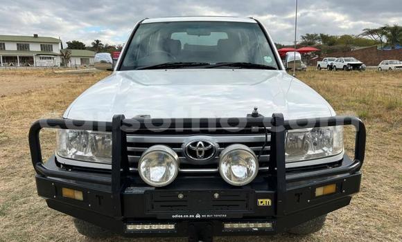اشتري مستعمل Toyota Land Cruiser White سيارة في Maseru في Maseru اشتري مستعمل Toyota Land Cruiser White سيارة في Maseru في Maseru