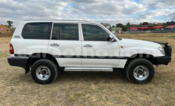اشتري مستعمل Toyota Land Cruiser White سيارة في Maseru في Maseru اشتري مستعمل Toyota Land Cruiser White سيارة في Maseru في Maseru