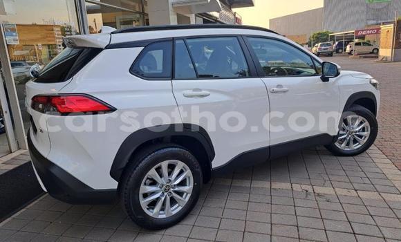 Buy Used Toyota Corolla Cross White Car in Maseru in Maseru Buy Used Toyota Corolla Cross White Car in Maseru in Maseru
