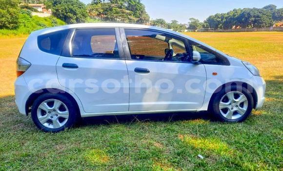 Buy Used Honda FIT White Car in Maseru in Maseru Buy Used Honda FIT White Car in Maseru in Maseru