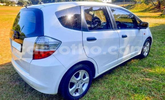 Buy Used Honda FIT White Car in Maseru in Maseru Buy Used Honda FIT White Car in Maseru in Maseru