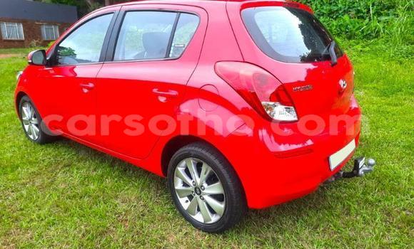 اشتري مستعمل Hyundai i20 Red سيارة في Maseru في Maseru اشتري مستعمل Hyundai i20 Red سيارة في Maseru في Maseru