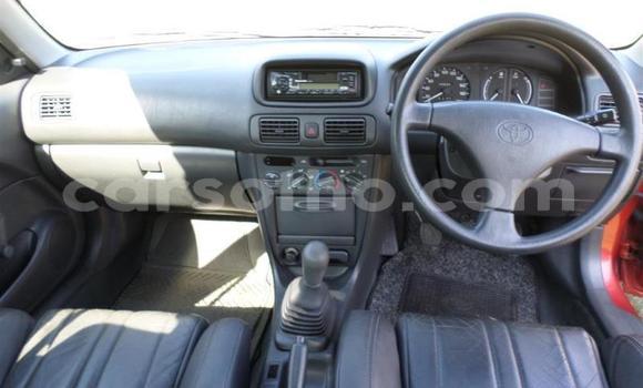 اشتري مستعمل Toyota Corolla Red سيارة في Maseru في Maseru اشتري مستعمل Toyota Corolla Red سيارة في Maseru في Maseru