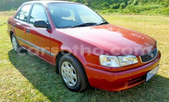 اشتري مستعمل Toyota Corolla Red سيارة في Maseru في Maseru اشتري مستعمل Toyota Corolla Red سيارة في Maseru في Maseru