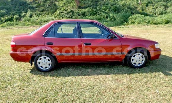 اشتري مستعمل Toyota Corolla Red سيارة في Maseru في Maseru اشتري مستعمل Toyota Corolla Red سيارة في Maseru في Maseru