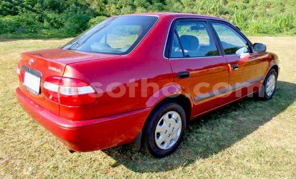 اشتري مستعمل Toyota Corolla Red سيارة في Maseru في Maseru اشتري مستعمل Toyota Corolla Red سيارة في Maseru في Maseru
