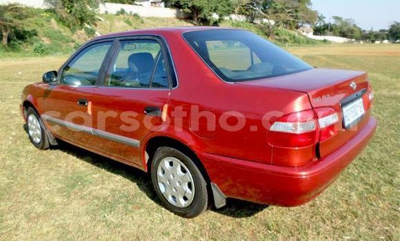 اشتري مستعمل Toyota Corolla Red سيارة في Maseru في Maseru اشتري مستعمل Toyota Corolla Red سيارة في Maseru في Maseru