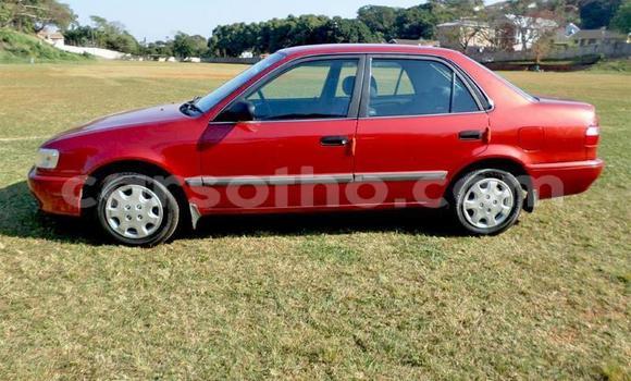 اشتري مستعمل Toyota Corolla Red سيارة في Maseru في Maseru اشتري مستعمل Toyota Corolla Red سيارة في Maseru في Maseru