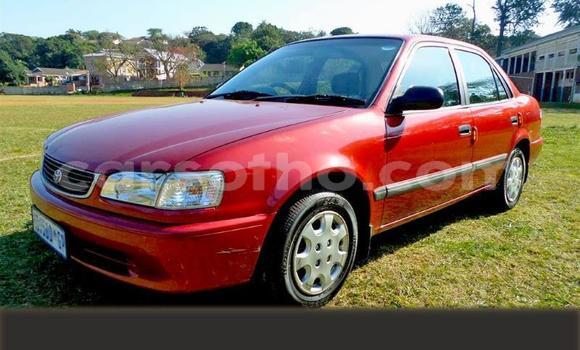اشتري مستعمل Toyota Corolla Red سيارة في Maseru في Maseru اشتري مستعمل Toyota Corolla Red سيارة في Maseru في Maseru