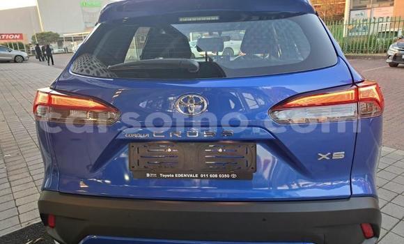 اشتري مستعمل Toyota Corolla Cross Blue سيارة في Maseru في Maseru اشتري مستعمل Toyota Corolla Cross Blue سيارة في Maseru في Maseru
