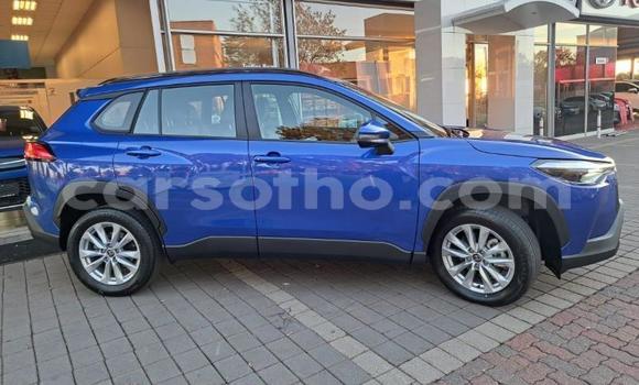 اشتري مستعمل Toyota Corolla Cross Blue سيارة في Maseru في Maseru اشتري مستعمل Toyota Corolla Cross Blue سيارة في Maseru في Maseru