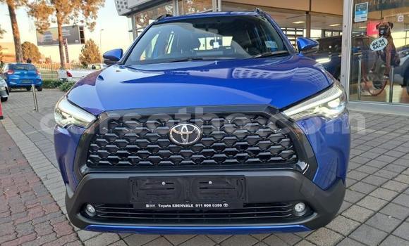 اشتري مستعمل Toyota Corolla Cross Blue سيارة في Maseru في Maseru اشتري مستعمل Toyota Corolla Cross Blue سيارة في Maseru في Maseru