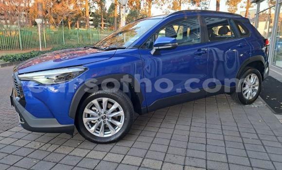 اشتري مستعمل Toyota Corolla Cross Blue سيارة في Maseru في Maseru اشتري مستعمل Toyota Corolla Cross Blue سيارة في Maseru في Maseru