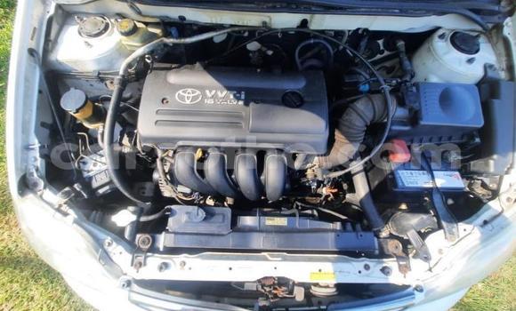 اشتري مستعمل Toyota Corolla White سيارة في Maseru في Maseru اشتري مستعمل Toyota Corolla White سيارة في Maseru في Maseru