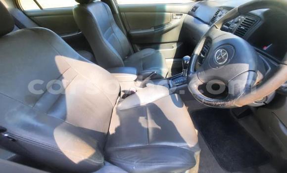 اشتري مستعمل Toyota Corolla White سيارة في Maseru في Maseru اشتري مستعمل Toyota Corolla White سيارة في Maseru في Maseru