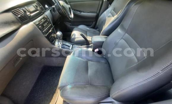 اشتري مستعمل Toyota Corolla White سيارة في Maseru في Maseru اشتري مستعمل Toyota Corolla White سيارة في Maseru في Maseru