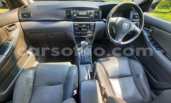 اشتري مستعمل Toyota Corolla White سيارة في Maseru في Maseru اشتري مستعمل Toyota Corolla White سيارة في Maseru في Maseru