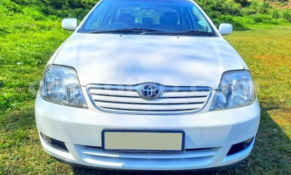 اشتري مستعمل Toyota Corolla White سيارة في Maseru في Maseru اشتري مستعمل Toyota Corolla White سيارة في Maseru في Maseru