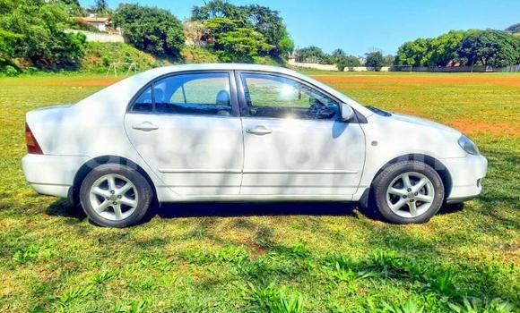 اشتري مستعمل Toyota Corolla White سيارة في Maseru في Maseru اشتري مستعمل Toyota Corolla White سيارة في Maseru في Maseru
