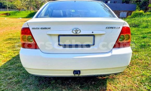 اشتري مستعمل Toyota Corolla White سيارة في Maseru في Maseru اشتري مستعمل Toyota Corolla White سيارة في Maseru في Maseru