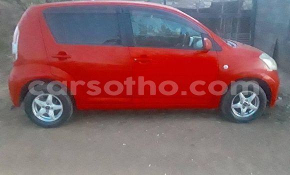Sayi Na hannu Toyota Passo Red Mota in Maseru a Maseru Sayi Na hannu Toyota Passo Red Mota in Maseru a Maseru