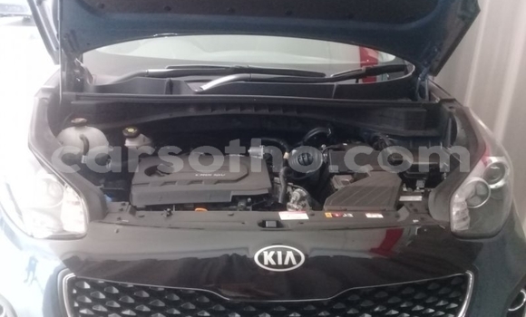 Acheter Occasion Voiture Kia Sportage Bleu à Hlotse, Leribe Acheter Occasion Voiture Kia Sportage Bleu à Hlotse, Leribe