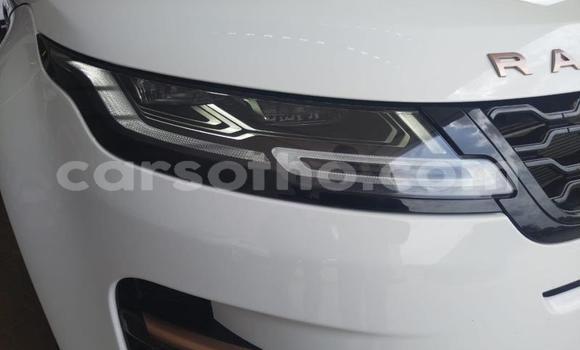 اشتري مستعمل Land Rover Range Rover Evoque White سيارة في Maseru في Maseru اشتري مستعمل Land Rover Range Rover Evoque White سيارة في Maseru في Maseru