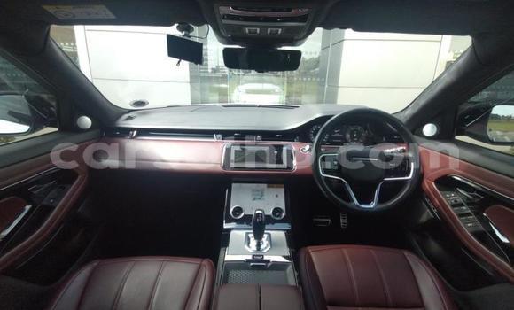 اشتري مستعمل Land Rover Range Rover Evoque White سيارة في Maseru في Maseru اشتري مستعمل Land Rover Range Rover Evoque White سيارة في Maseru في Maseru