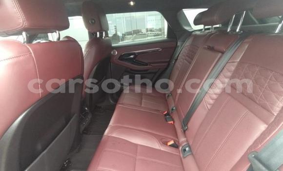 اشتري مستعمل Land Rover Range Rover Evoque White سيارة في Maseru في Maseru اشتري مستعمل Land Rover Range Rover Evoque White سيارة في Maseru في Maseru