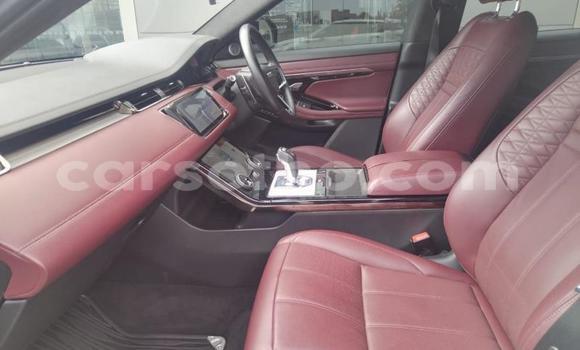 اشتري مستعمل Land Rover Range Rover Evoque White سيارة في Maseru في Maseru اشتري مستعمل Land Rover Range Rover Evoque White سيارة في Maseru في Maseru